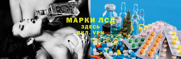 дурь Няндома