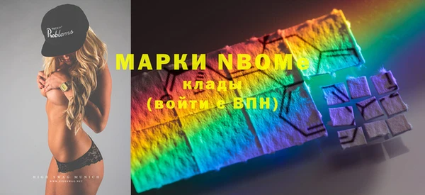 дурь Няндома