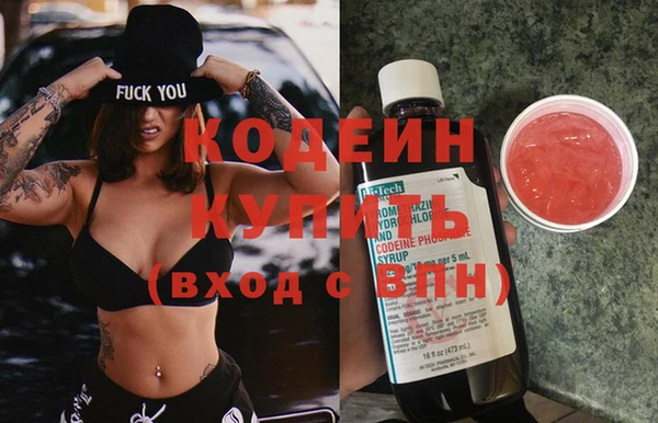 дурь Няндома