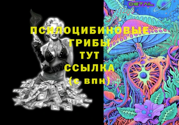 дурь Няндома