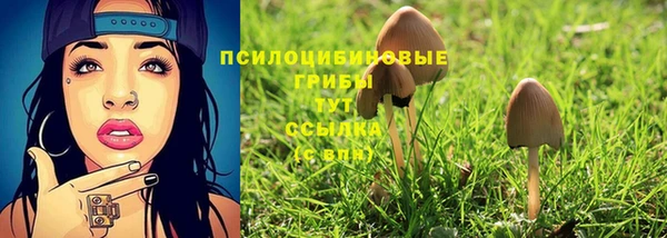 спиды Нязепетровск