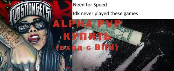 дурь Няндома