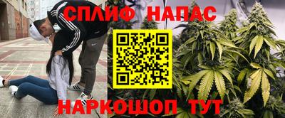 таблы Будённовск