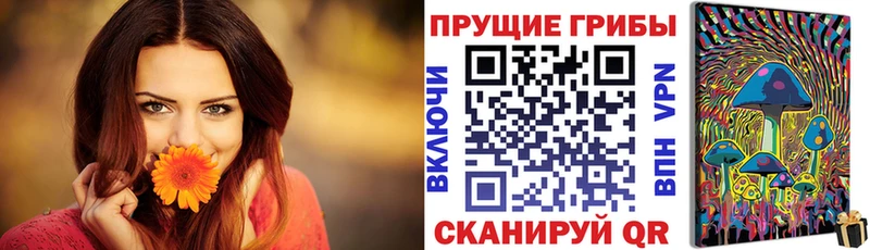 Галлюциногенные грибы Psilocybine cubensis  KRAKEN онион  Черногорск  хочу  