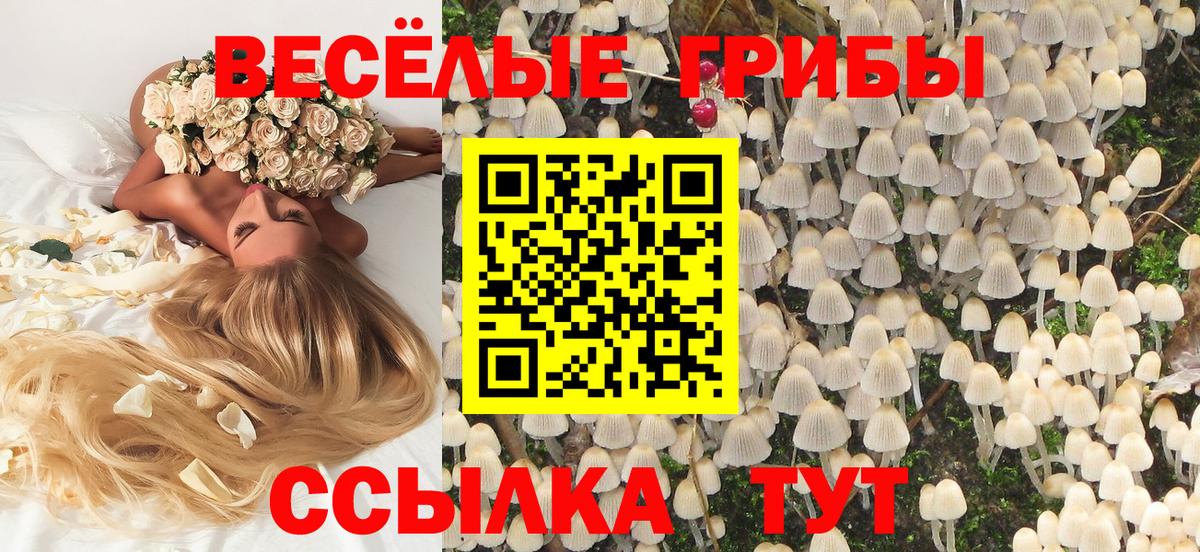 Галлюциногенные грибы MAGIC MUSHROOMS Черногорск