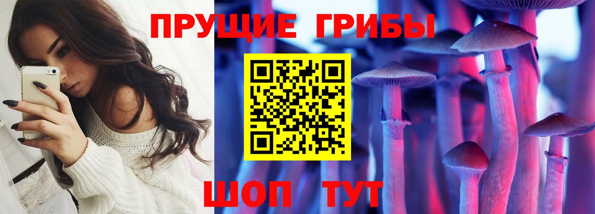 Галлюциногенные грибы мицелий  Вход с VPN  Черногорск 